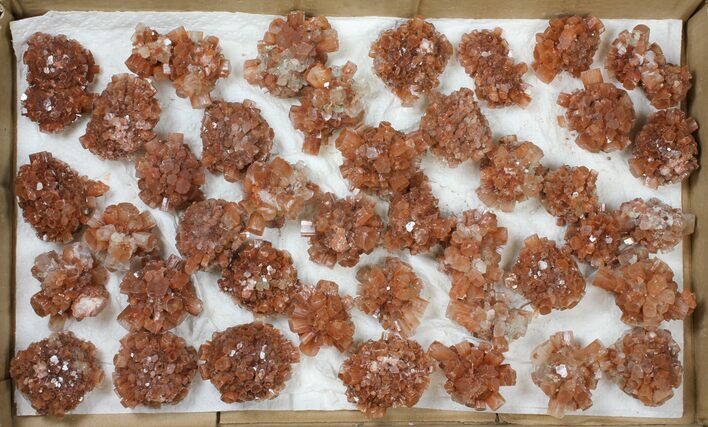 Lot: / to / Twinned Aragonite Clusters - Pieces #134142